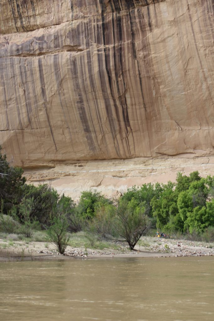 The Yampa Canyon walls were often streaked with a phenonemon known as 'desert varnish'