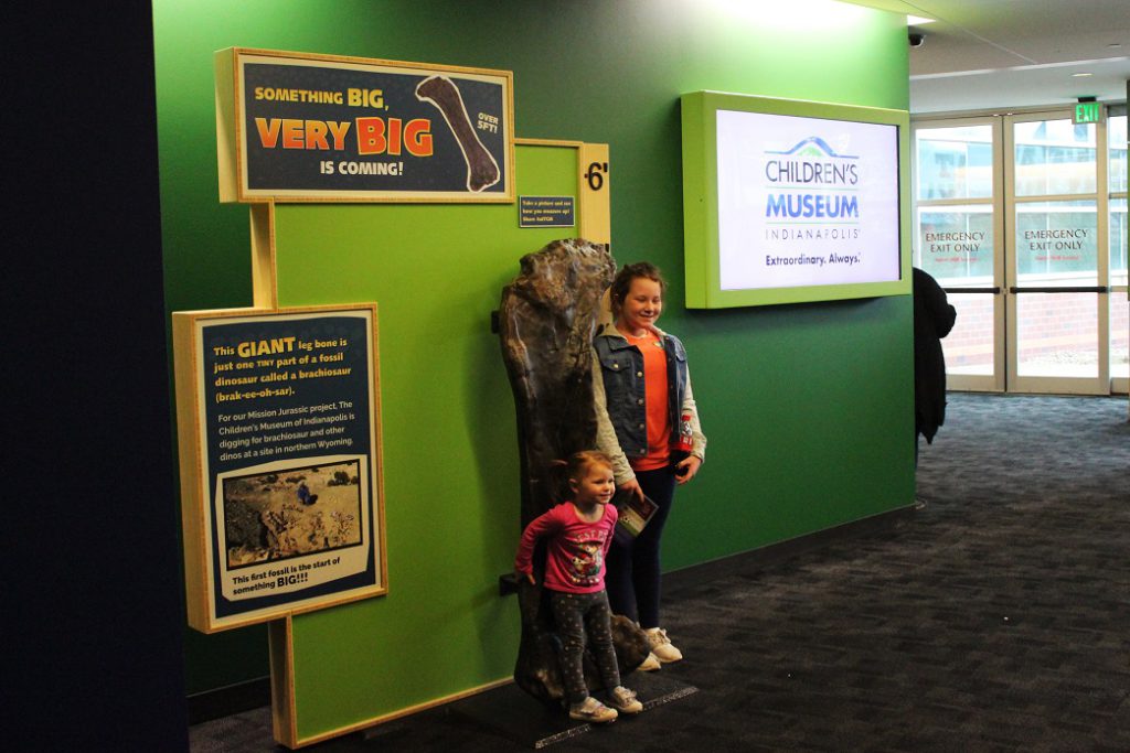 The femur excavated last fall, now on display at The Children’s Museum of Indianapolis