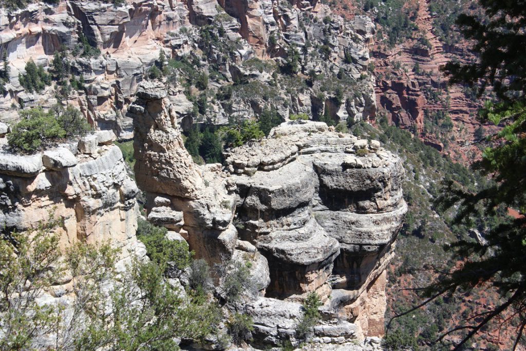 View from Widforss Trail in Grand Canyon National Park