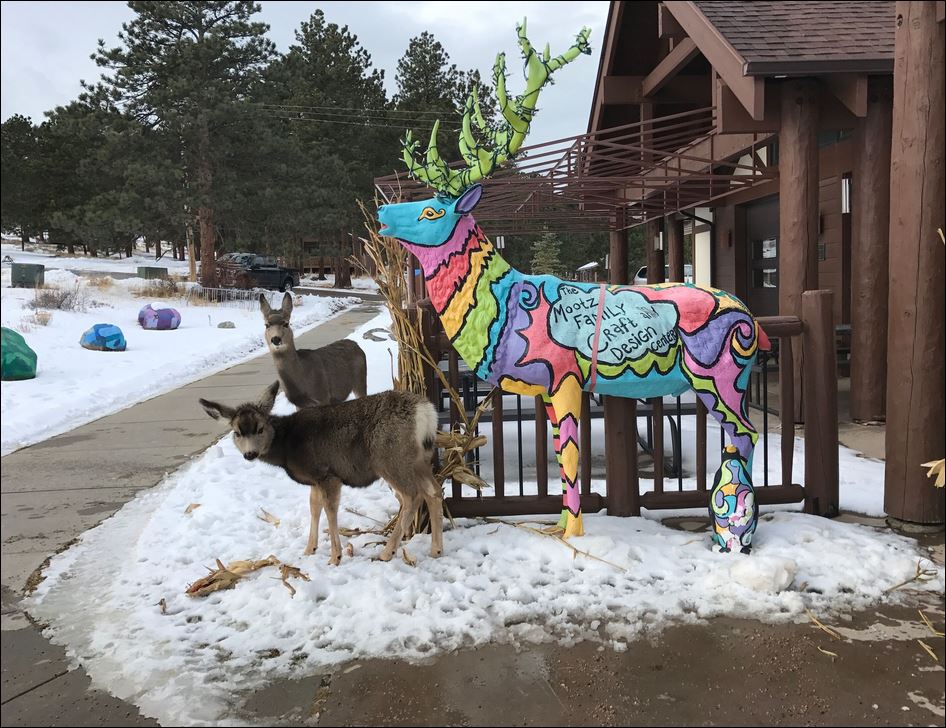 Winter at YMCA of the Rockies