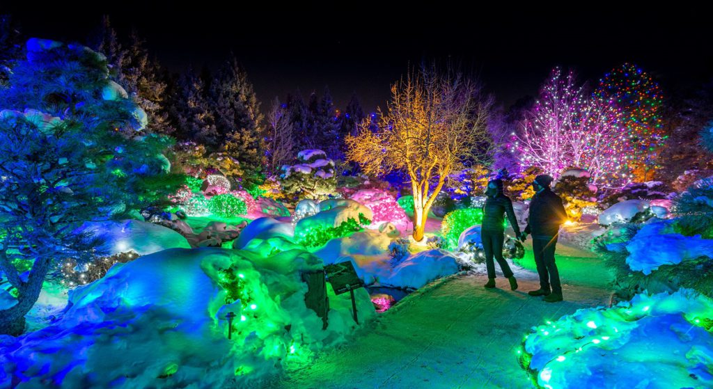 Blossoms of Light, Denver Botanic Gardens.