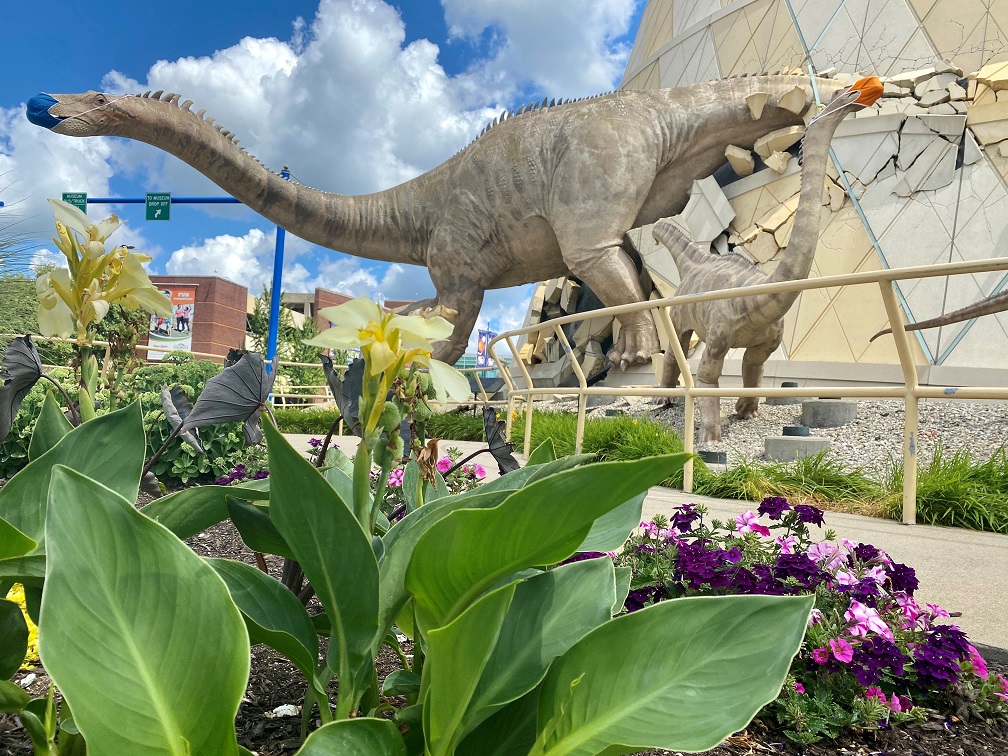 Masked dinosaurs on display in Indianapolis. (The Children’s Museum of Indianapolis)