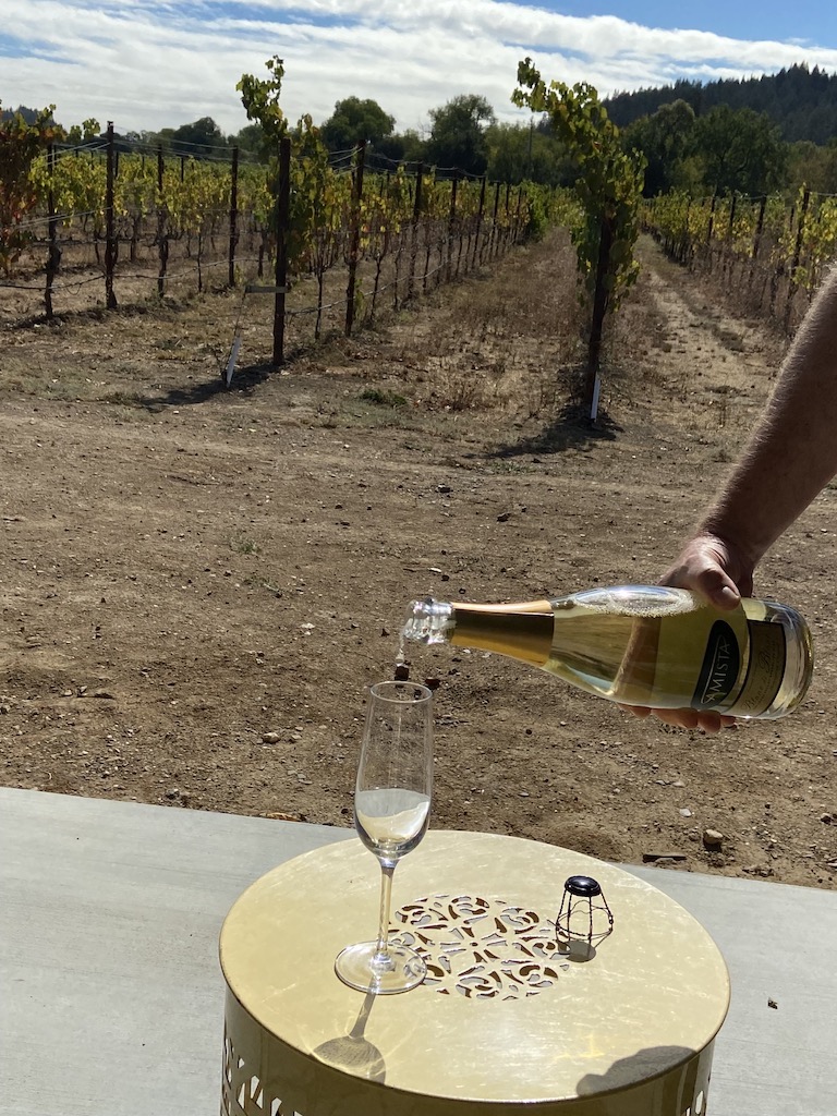 Pouring a tasting at Amista Vineyards near Healdsburg