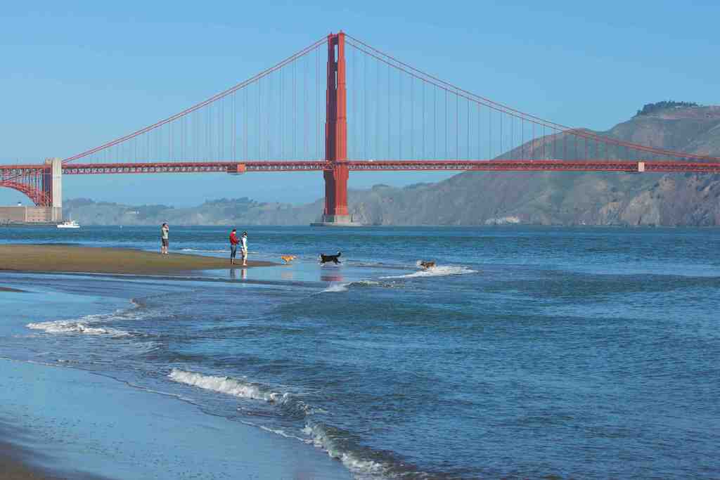 The Golden Gate Bridge viewed from Chrissy Field  in the Presidio