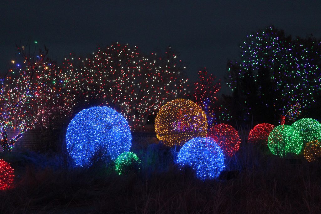 At the Denver Botanic Garden