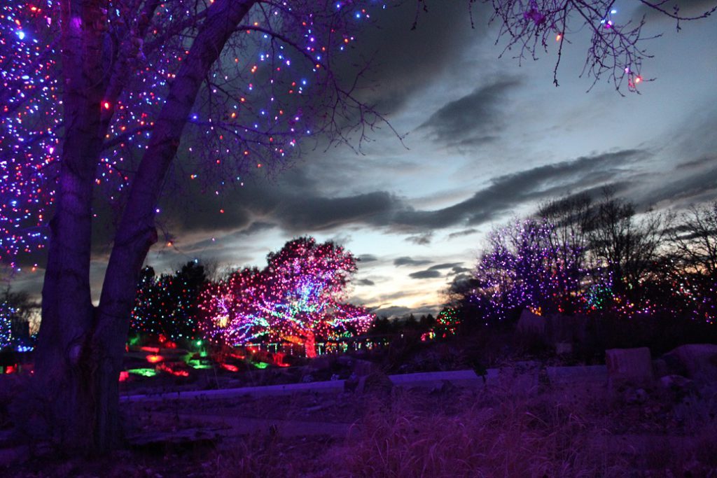 More than 1 million lights at the Denver Botanic Garden