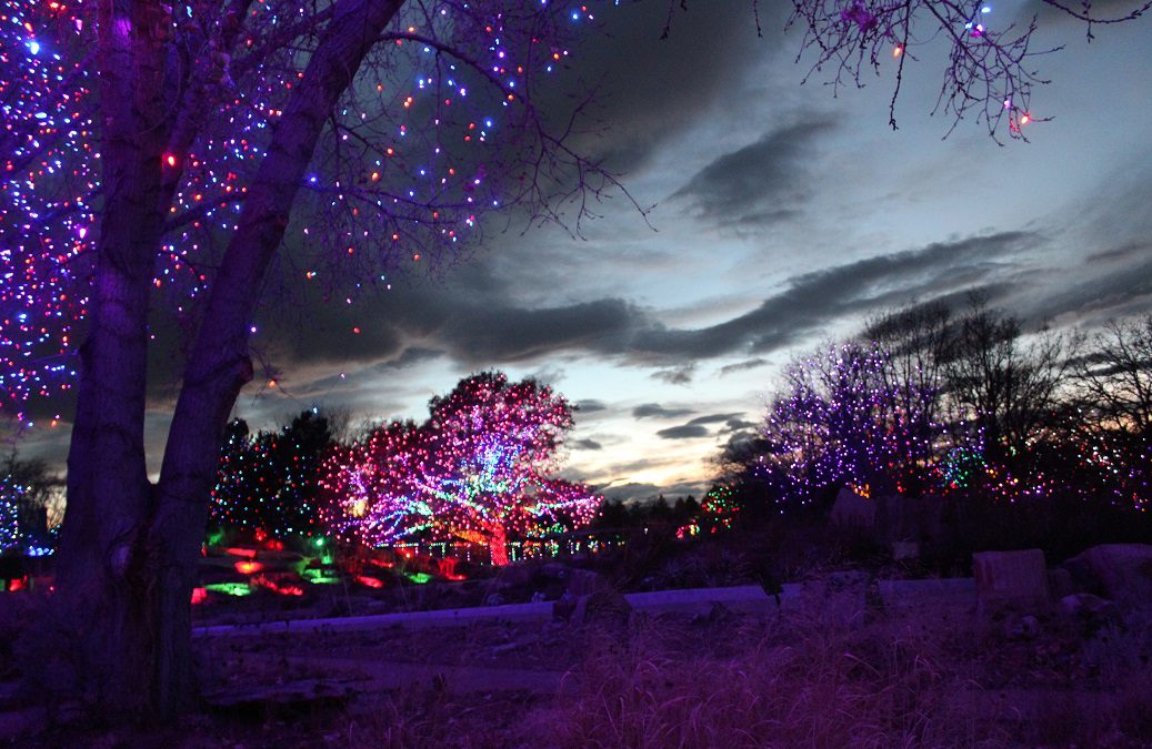 Holiday Lights: Our Annual Guide to the Best and Brightest