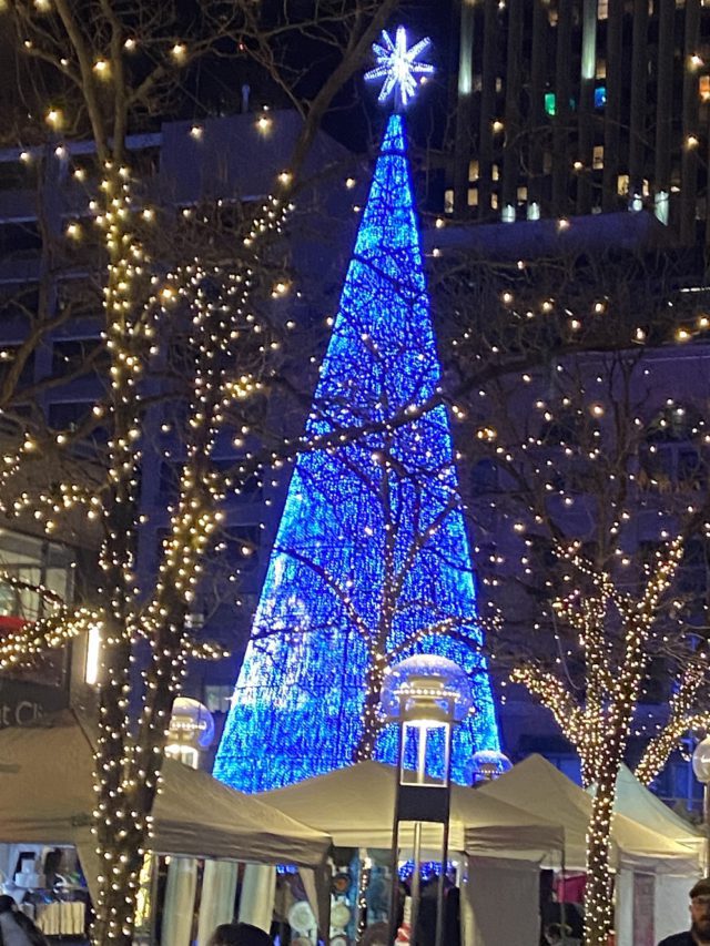 Denver’s Fantastic Holiday Lights