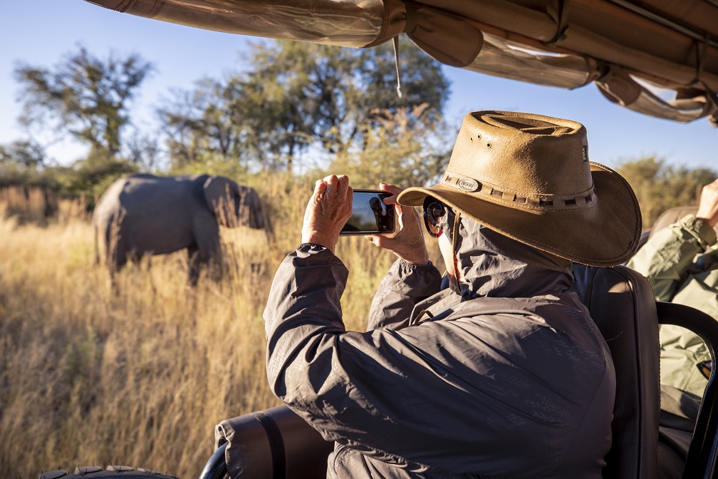 Botswana, Okavango Delta, Moremi Game Reserve, Photographing Elephants on a Game Drive