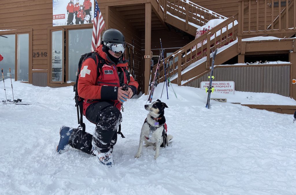 Ripley is an avalanche rescue dog with the Breckenridge Ski Patrol. She hasn't seen any action yet but she's pupated!