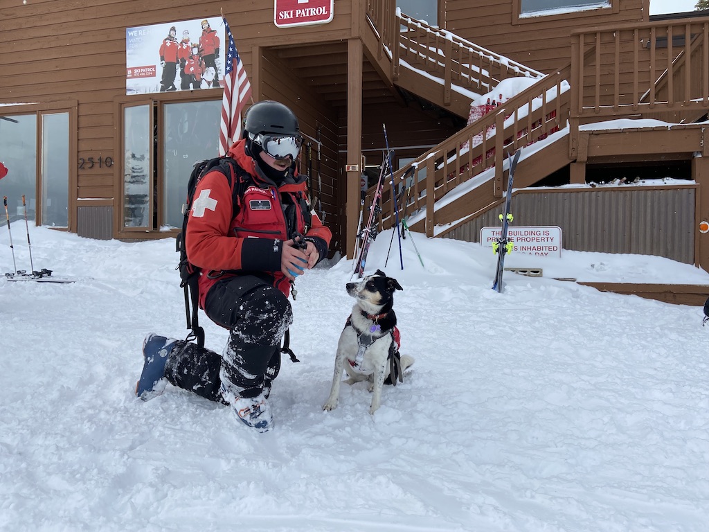 Ripley is an avalanche rescue dog with the Breckenridge Ski Patrol. She hasn't seen any action yet but she's pupated!