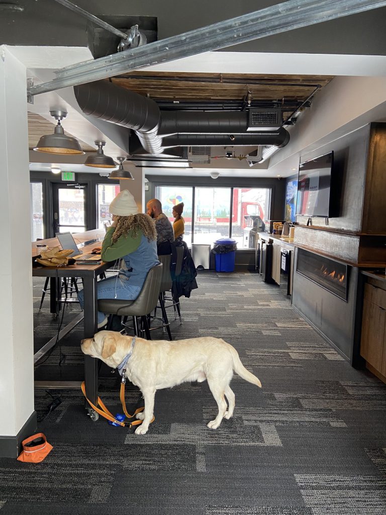 In the lobby and coffee area of the Gravity Hause Breckenridge