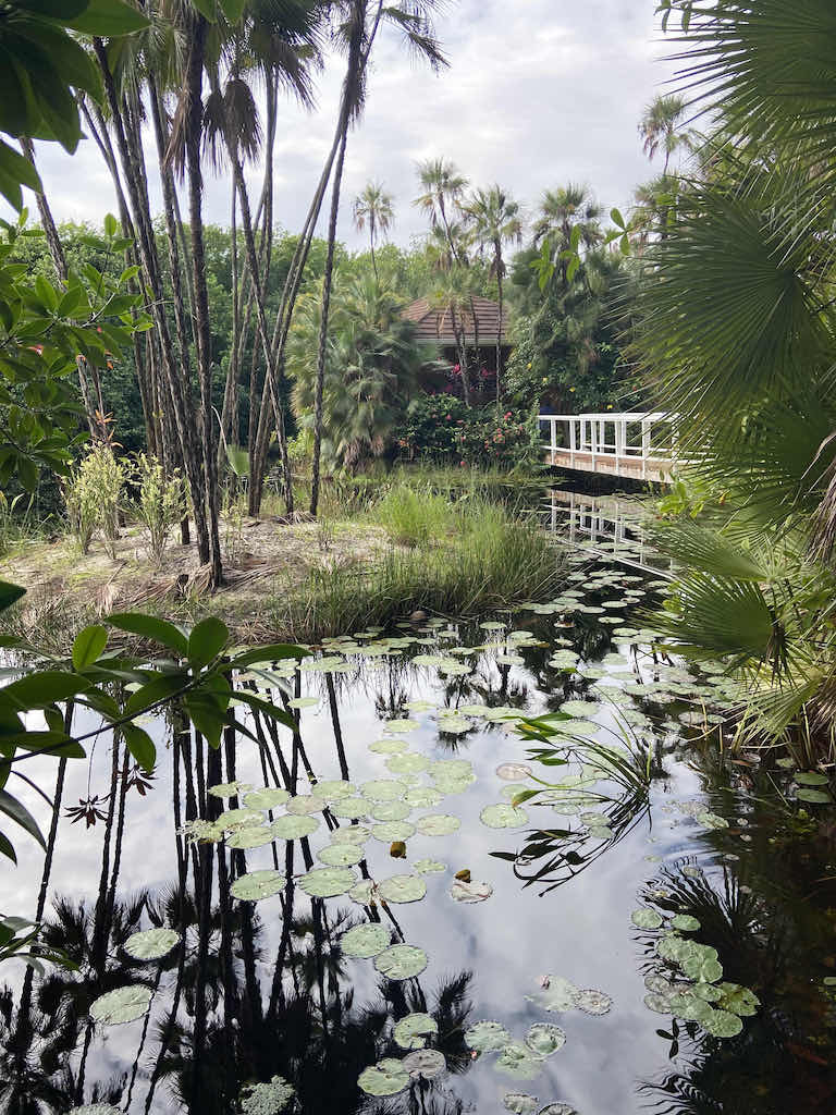 At the Naia Resort and Spa Near Placencia Belize