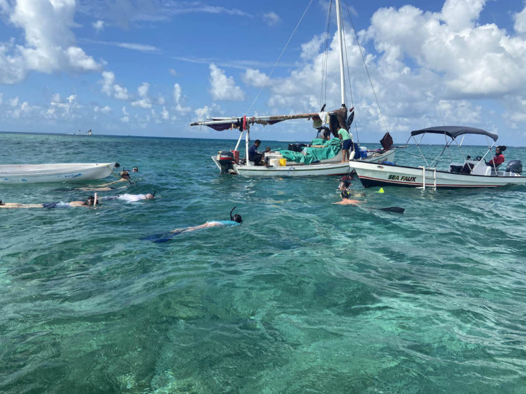 Can’t see monkeys? Hear the howling!