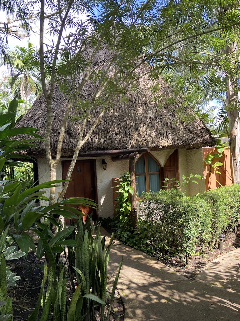 One of dozens of thatched roof structures at Chaa Creek