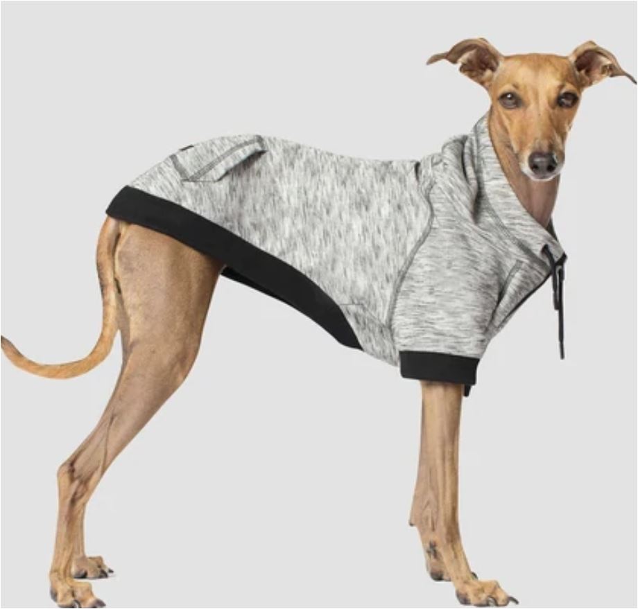 Spacede Hero Hoodie from Canada Pooch