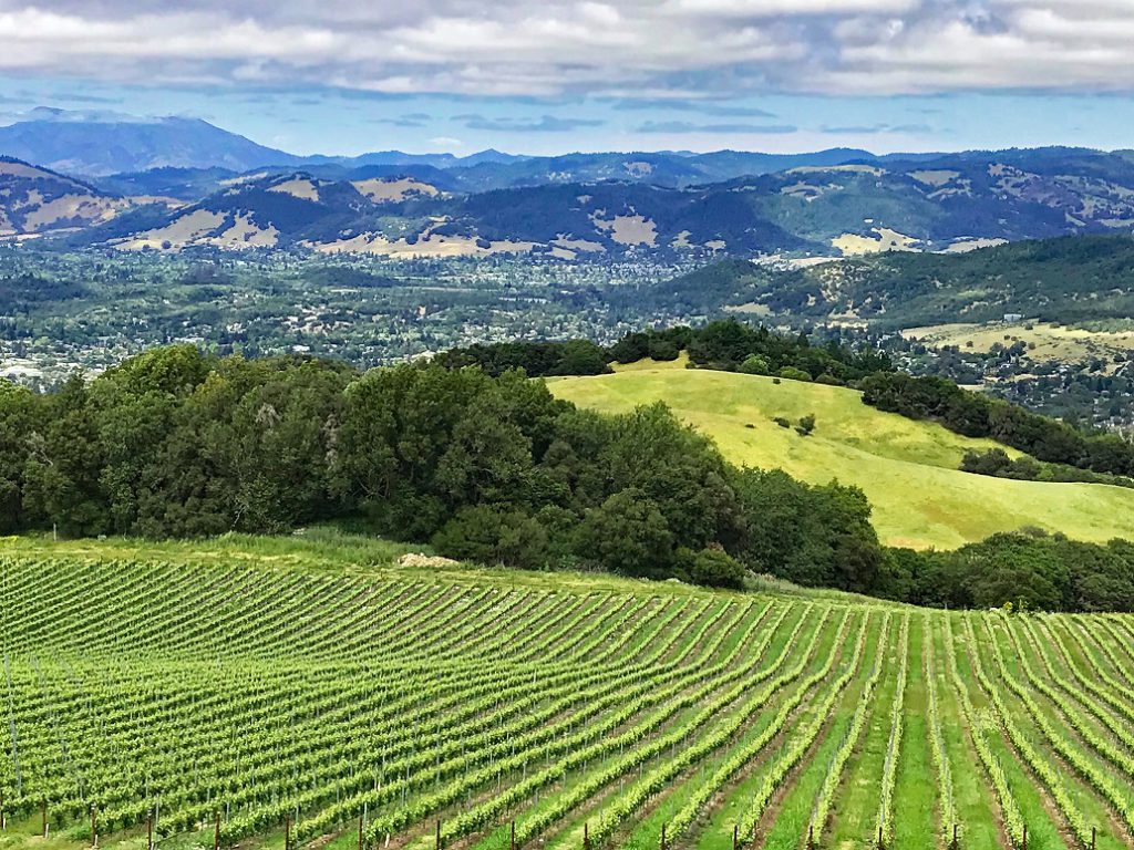 The lovely rolling hills and vineyards in the countryside of Sonoma County, California.