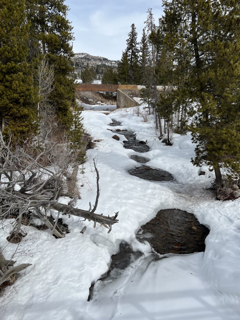 Bucolic stream in Uinta National Forest