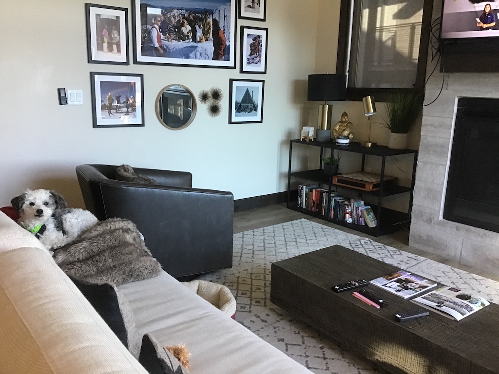 Our doggo enjoys the spacious Vacasa vacation rental in Park City UT