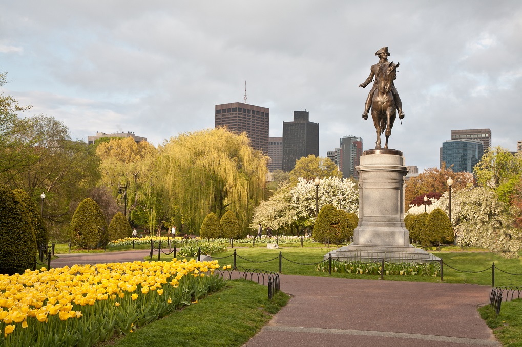 Boston Public Garden