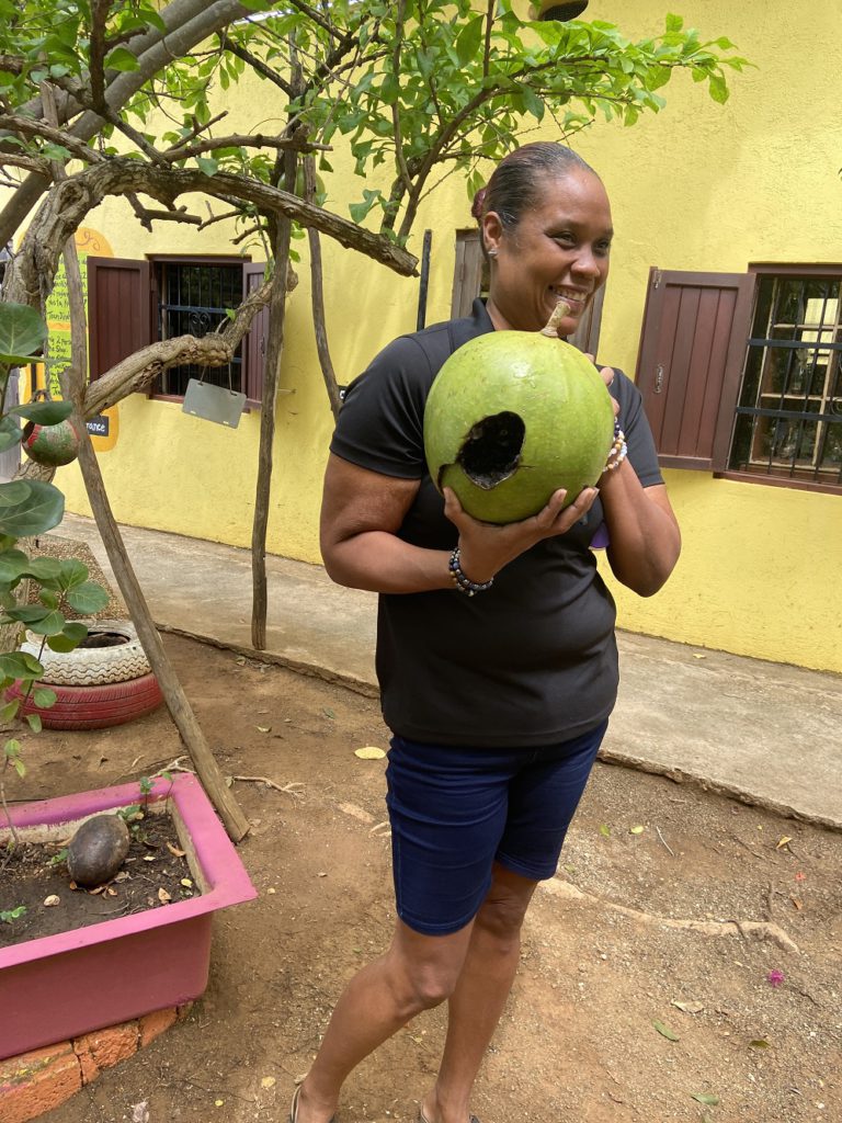A large calabash gourd at Dinah's garden on Curacao