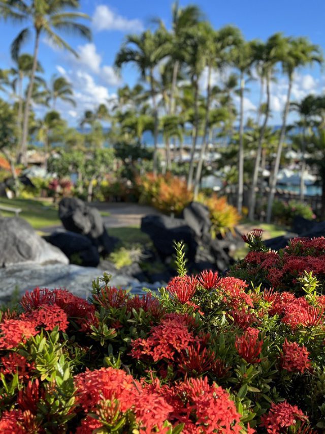 Exploring Kauai HI 2022