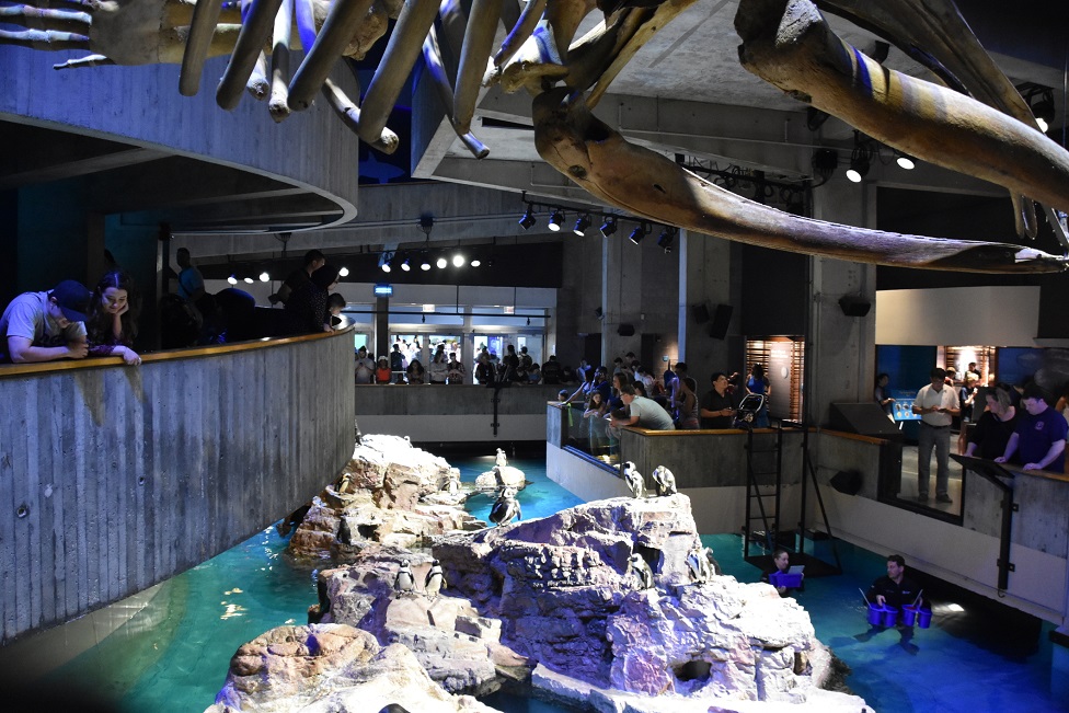 New England Aquarium in Boston, Massachusetts.