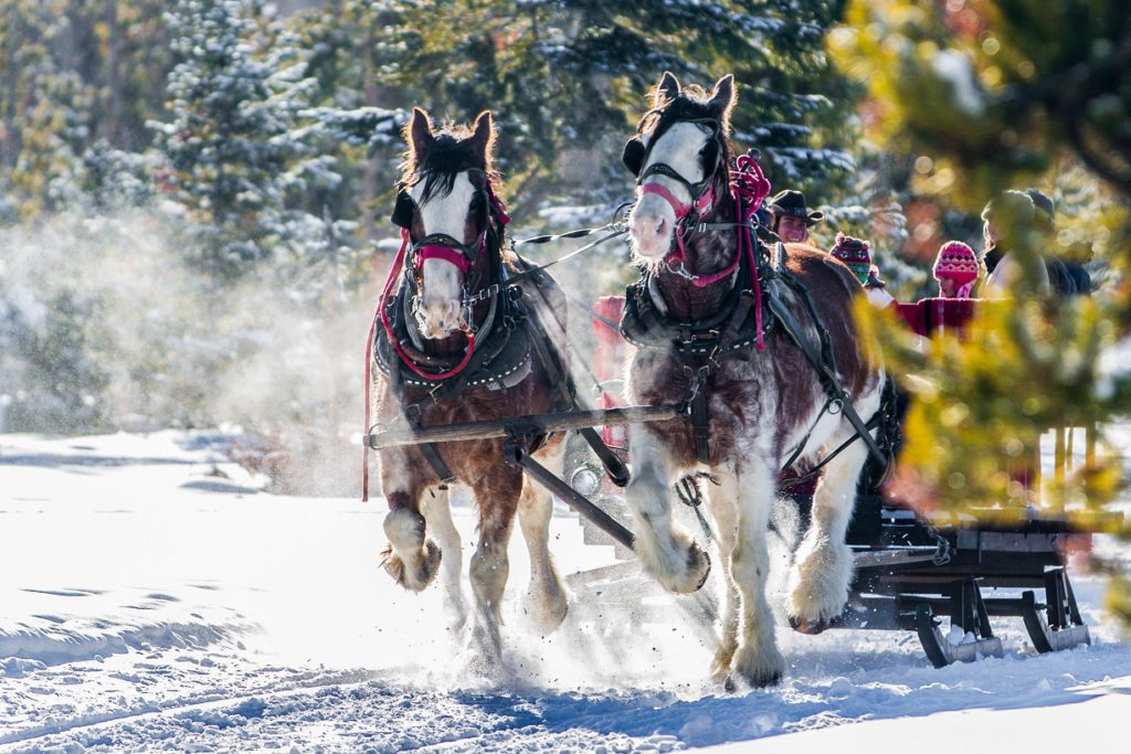 Horse-drawn sleigh ride at YMCA of the Rockies Snow Mountain Ranch in Colorado
