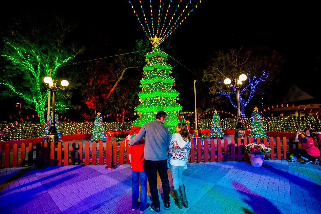 Holiday Lights in Orlando FL