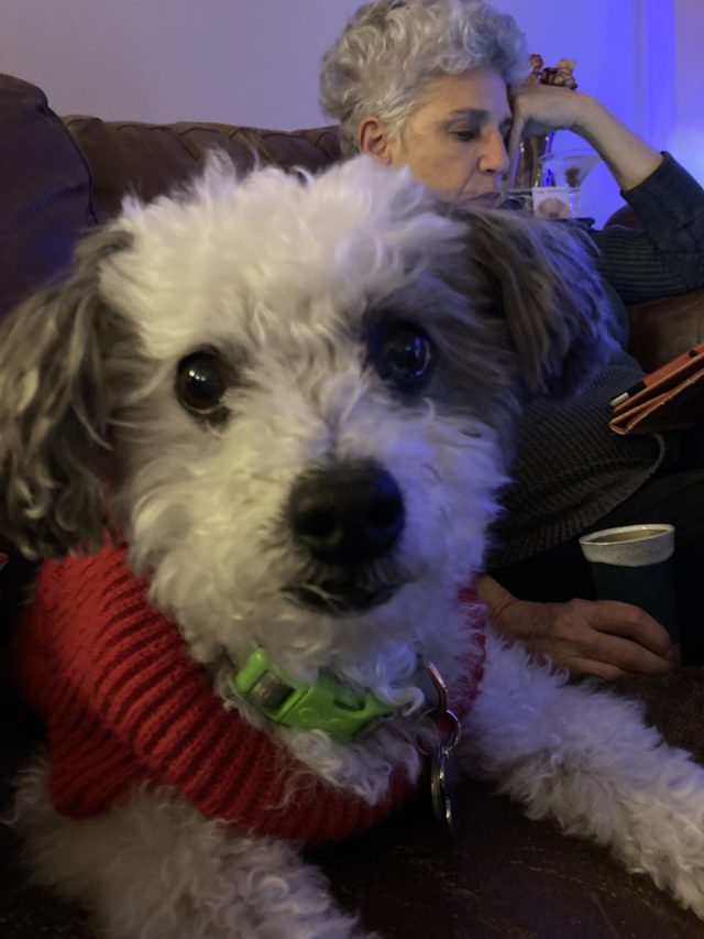 Photo Dec 31 2022, 5 30 41 PM