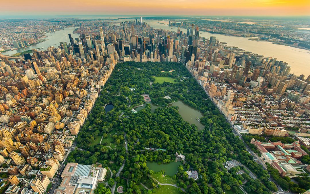 New York Central park aerial view in summer.
