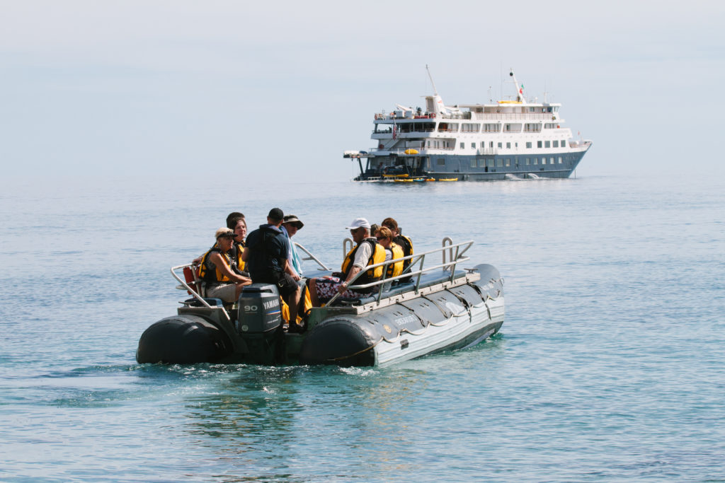 Taking a skiff tour off the coast of Baja California from an UnCruise