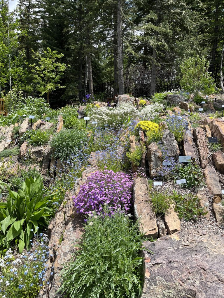 Betty Ford Gardens in Vail