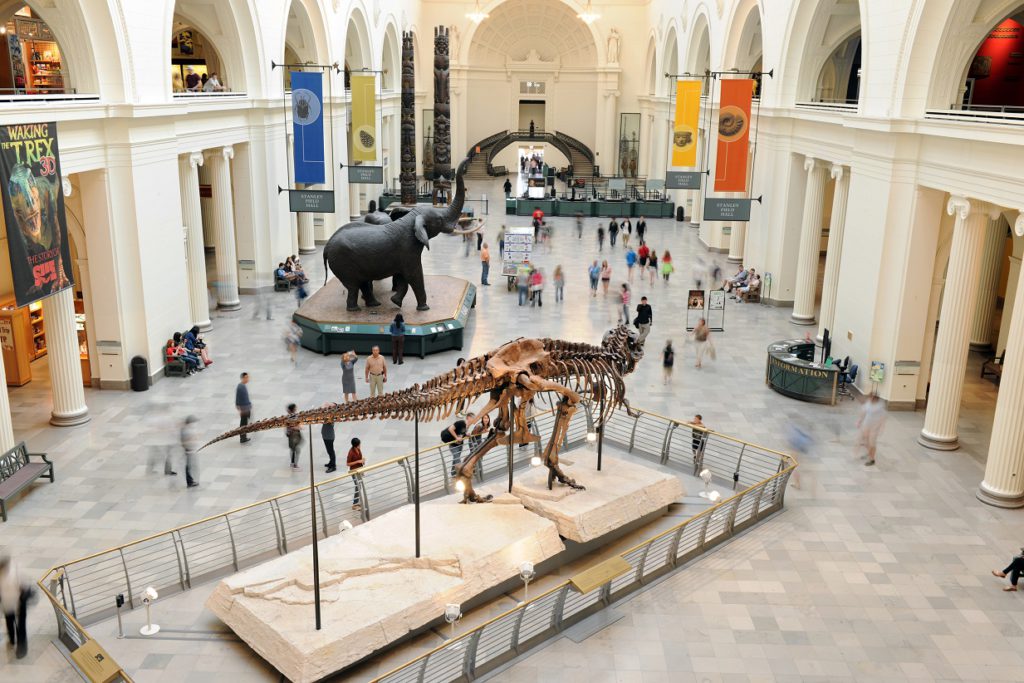 Chicago's Field Museum of Natural History