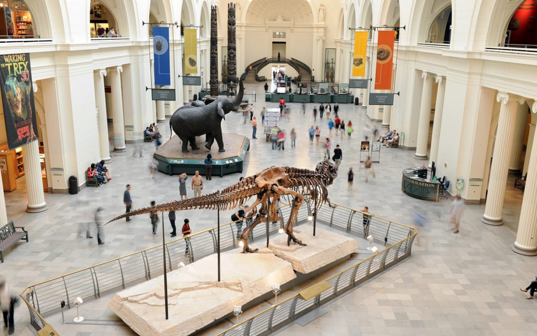 Chicago's Field Museum of Natural History