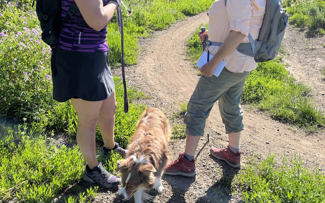Hiking with Melissa Soltesz from White Pine Touring and her dog Foxy