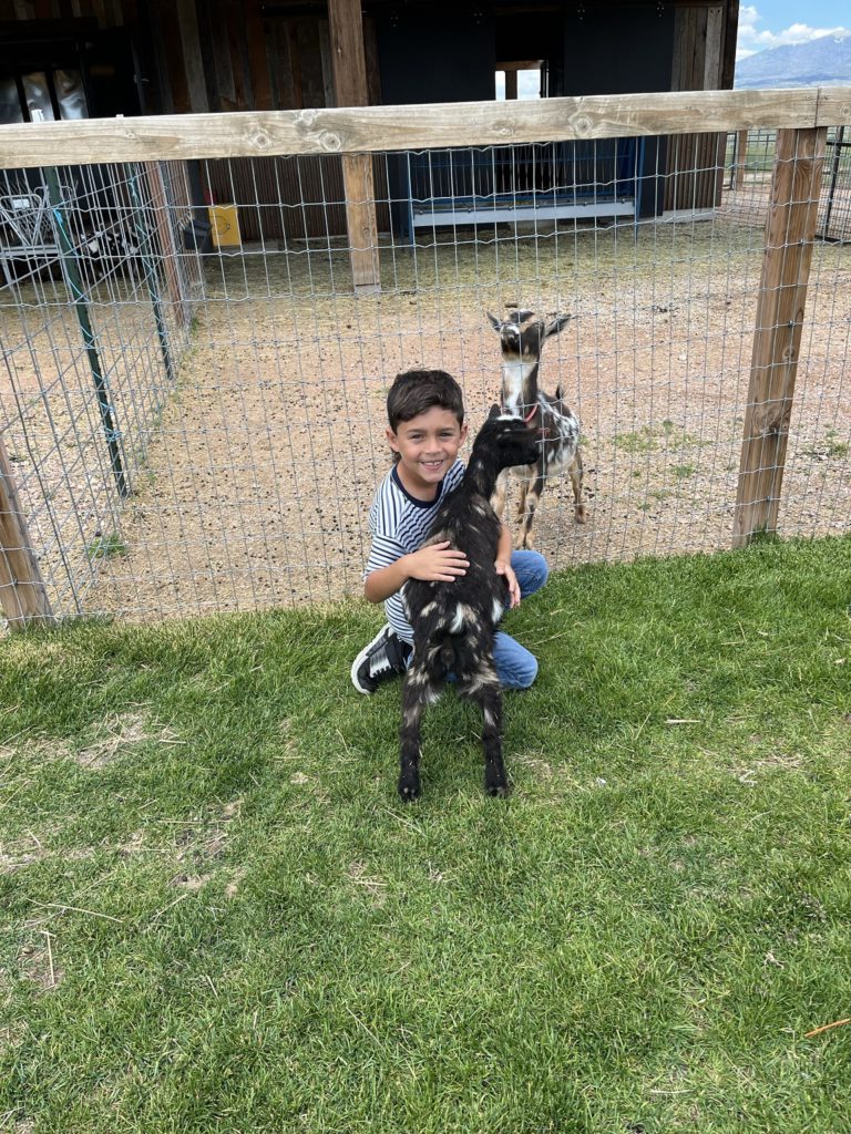 At the Lil Wranglers baby goat encounter, Lodge and Spa at Brush Creek, WY