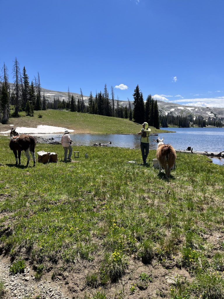 Austin Griffith set up a picnic lunch at Dipper Lake