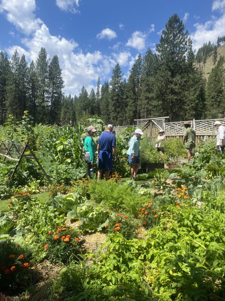 Touring the Metz's off the grid vegetable and fruit garden