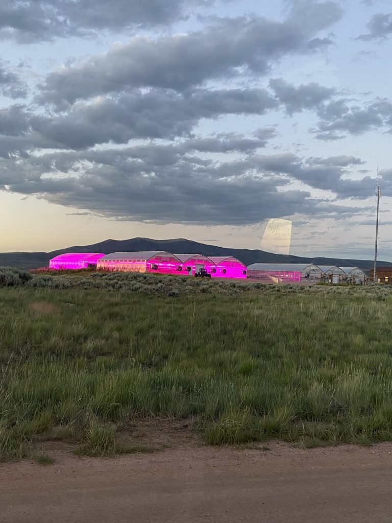 The greenhouses at Brush Creek Ranch in the evening