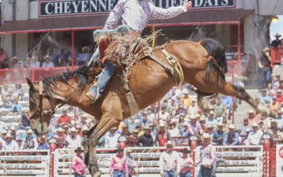 Bronco Riding in the rodeo at Cheyenne Frontier Days Festival
