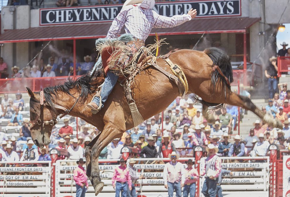 Bronco Riding in the rodeo at Cheyenne Frontier Days Festival