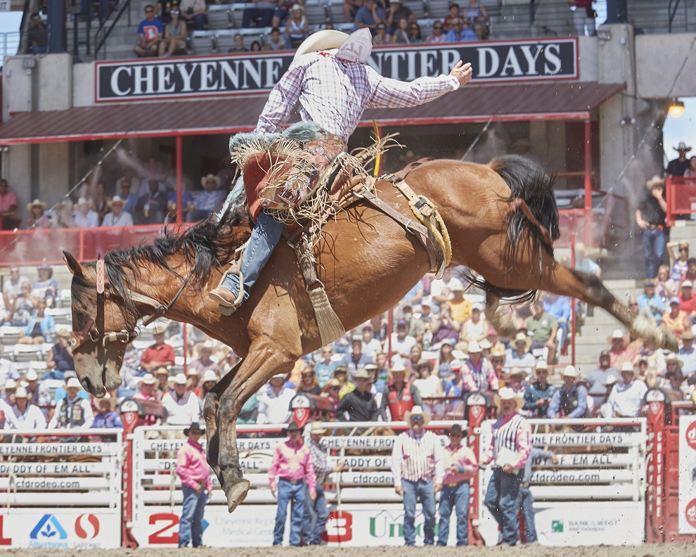 Bronco Riding in the rodeo at Cheyenne Frontier Days Festival