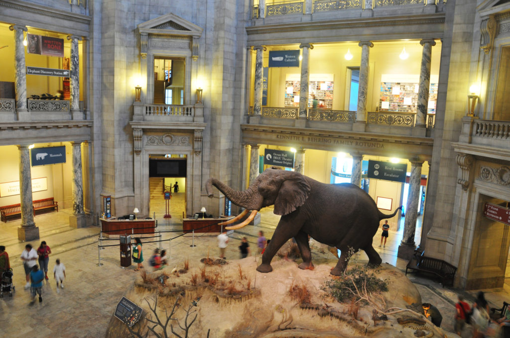 National Museum of Natural History, Washington DC