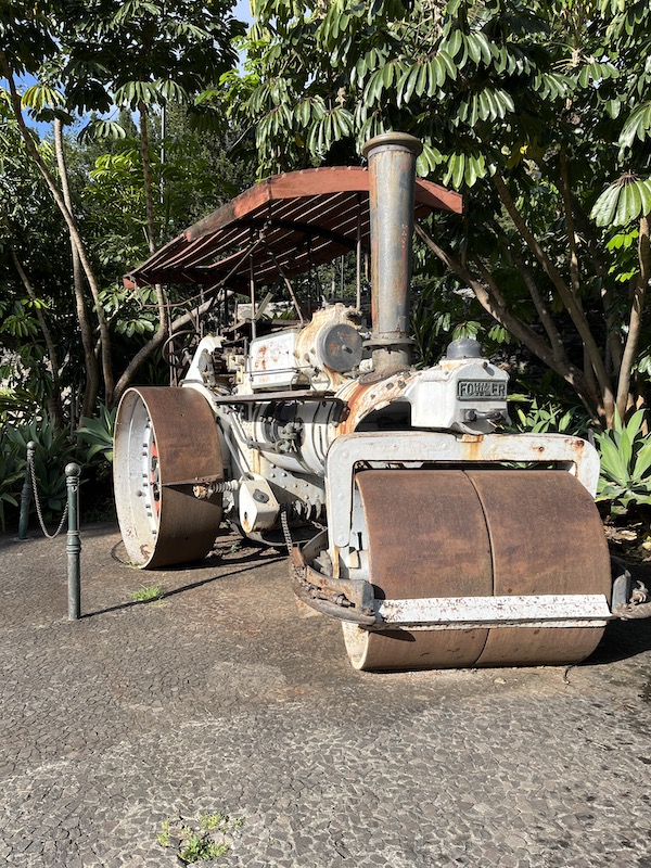 One fine day in Funchal Madeira