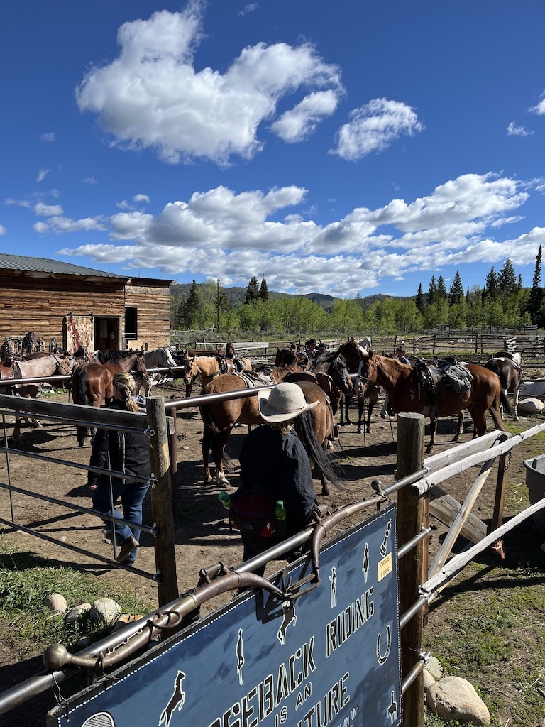 Medicine Bow Lodge's corral in action