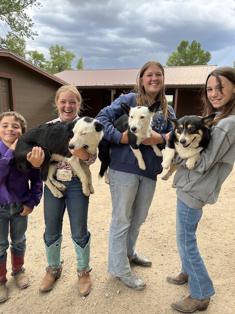 Kids love the ranch dogs at Vee Bar in Wyoming