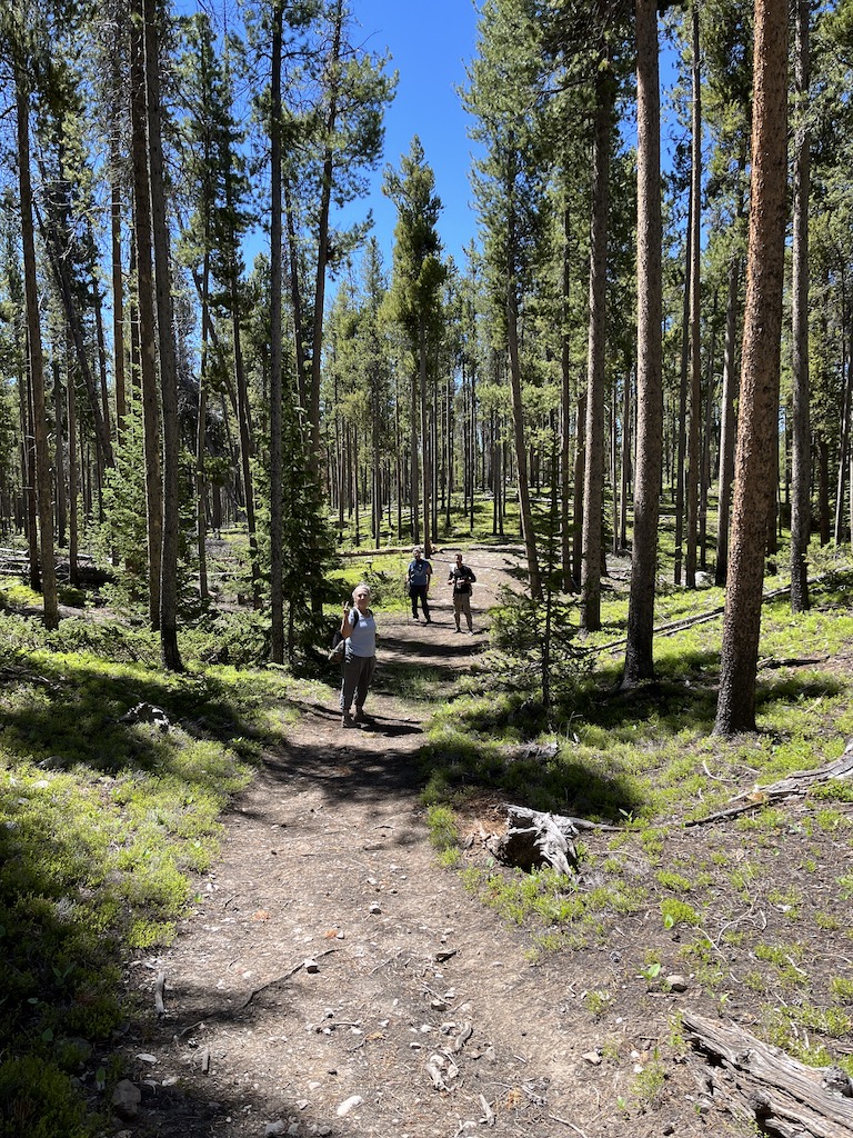 Hiking in the Medicine Bow National Forest adjacent to Vee Bar Ranch