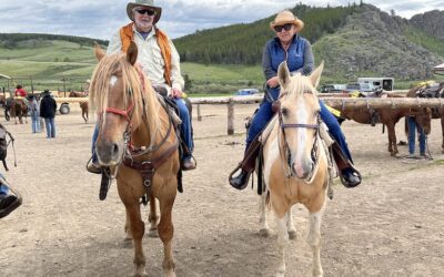 Adios and thanks Paradise!