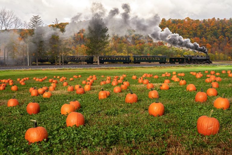 All Aboard PEANUTS The Great Pumpkin Patch Railroad in PA
